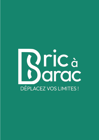 logo du projet Bric à barac
