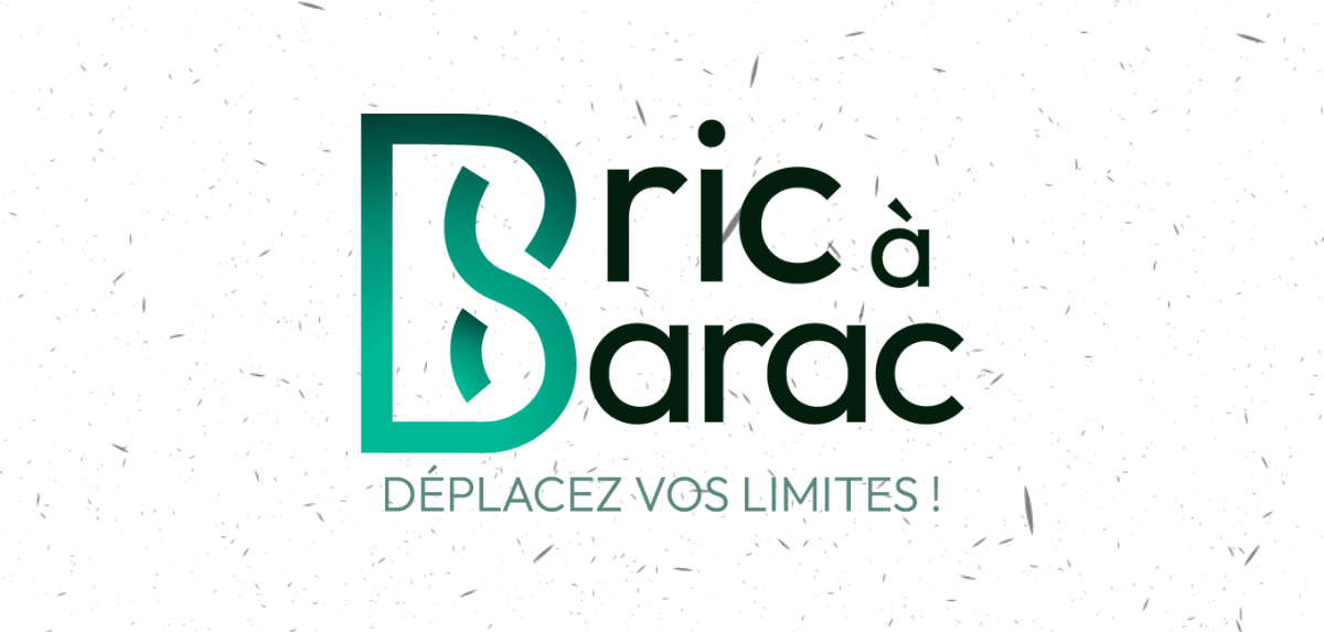 logo de Bric à barac