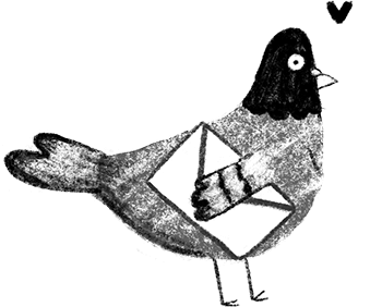 Illustration d'un Pigeon Voyageur 