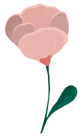 Mockup post@2x_5 rose illustrée